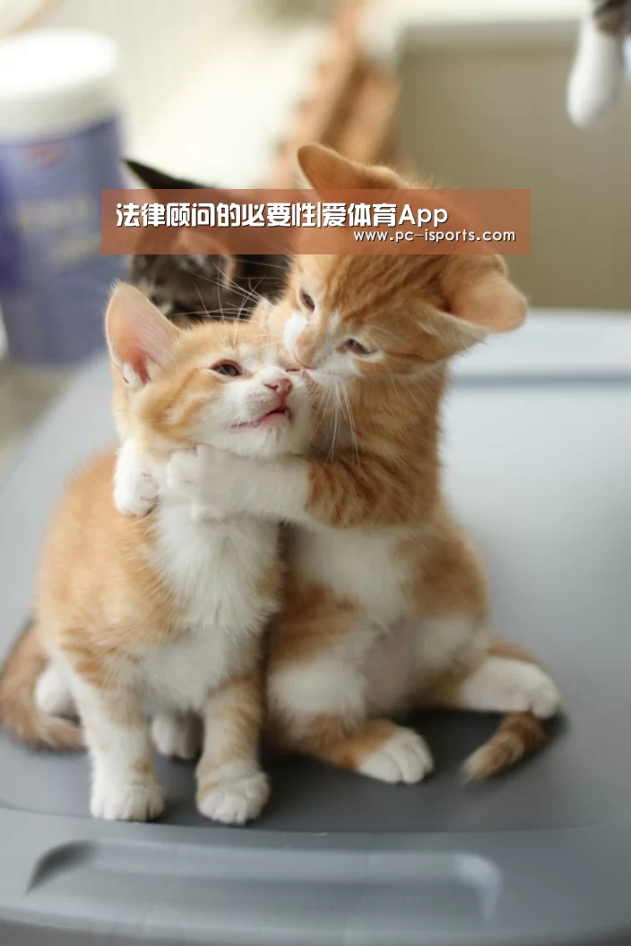 爱体育App
